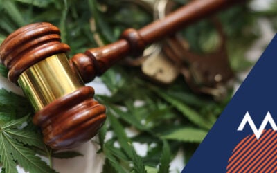 Groundbreaking Judgment on Cannabis in the Workplace